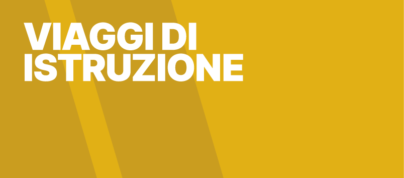 VIAGGI DI ISTRUZIONE